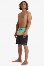 Billabong Fifty50 Pro 18" Shorts for Men| Surfwax Surf Clothing shop since 2010