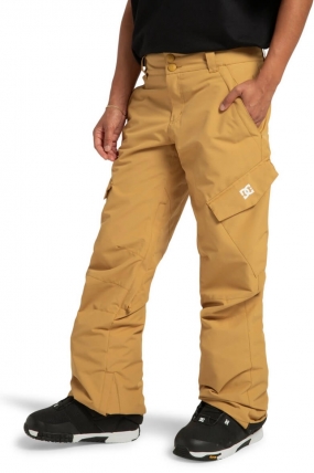 DC Nonchalant Snow Pants | Surfwax Surf Clothing shop since 2010
