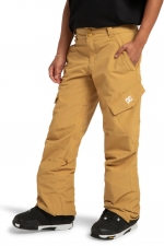 DC Nonchalant Snow Pants | Surfwax Surf Clothing shop since 2010