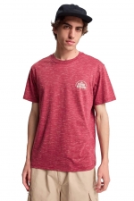 Quiksilver Dola Injected T-Shirt| Surf Stiliaus Marškinėliai Vyrams| Surfwax Surf stiliaus aprangos parduotuvė nuo 2010