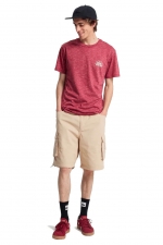 Quiksilver Dola Injected T-Shirt| Surf Stiliaus Marškinėliai Vyrams| Surfwax Surf stiliaus aprangos parduotuvė nuo 2010