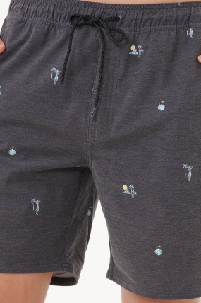 RipCurl Skelly Breach Volley Shorts| Boardshorts| Surfwax Surf Clothing shop since 2010