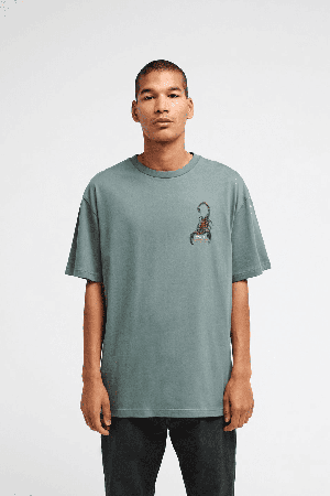 RVCA Scorpo Men's T-Shirt | Balsam | Surfwax