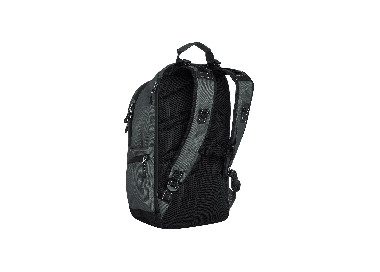 Element Scheme Skate 30L Kuprinė | Ardoise | Surfwax