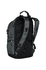 Element Scheme Skate 30L Kuprinė | Ardoise | Surfwax