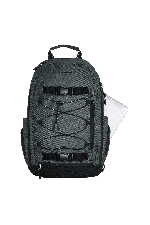 Element Scheme Skate 30L Kuprinė | Ardoise | Surfwax