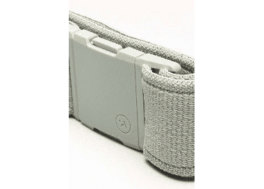 Arcade Atlas Stretch Belt | Sage | Surfwax